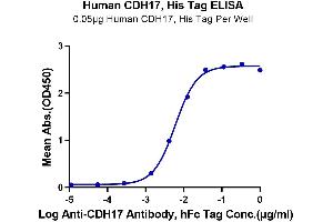 Immobilized Human CDH17, His Tag at 0. (LI Cadherin Protein (AA 23-787) (His tag))