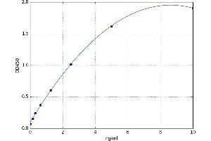 IQ Motif Containing GTPase Activating Protein 1 (IQGAP1) ELISA Kit