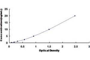 Typical standard curve (BCAN ELISA Kit)