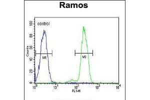 Flow cytometric analysis of Ramos cells (right histogram) compared to a negative control cell (left histogram). (DCP1B Antikörper  (AA 261-290))