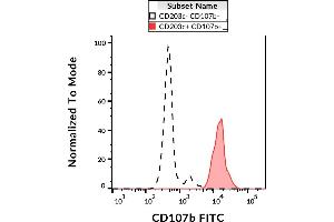 Flow cytometry analysis (surface staining) of IgE-stimulated human peripheral blood with anti-CD107b (H4B4) FITC.