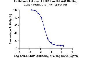 Serial dilutions of Anti-LILRB1 Antibody were added into Biotinylated Human HLA-G Complex Tetramer, His Tag : Human LILRB1, His Tag binding reactioins. (LILRB1 Protein (AA 24-458) (His-Avi Tag))