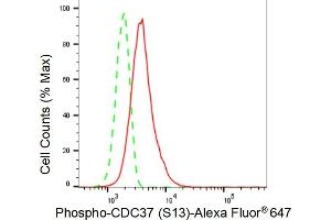 Flow cytometric analysis of Phospho-CDC37 (S13) expression in HT- cells using Phospho-CDC37 (S13) antibody (ABIN7798011), 1:2,000). (Rekombinanter CDC37 Antikörper  (pSer13))