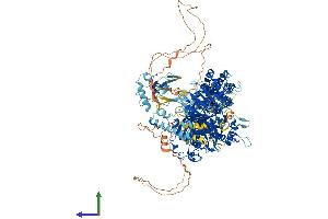 Protein Structure (PS) image for MutS Homolog 6 (E. Coli) (MSH6) (AA 1-1360) protein (His tag) (ABIN7554632)