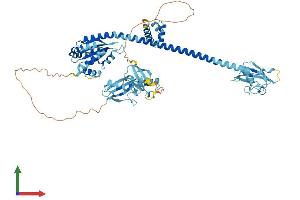 Protein Structure (PS) image for Fas (TNFRSF6) Associated Factor 1 (FAF1) (AA 1-650) protein (His tag) (ABIN7547502)