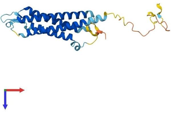 SYNGR2 Protein (AA 1-224) (His tag)