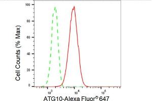 Flow cytometric analysis of ATG10 expression in HepG2 cells using ATG10 antibody (ABIN7797705), 1:2,000). (Rekombinanter ATG10 Antikörper)