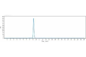anti-PDCD1 (Sintilimab Biosimilar) antibody