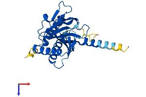 EGLN3 Protein (AA 1-239) (His tag)