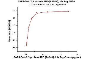 Immobilized Human ACE2, Fc Tag (ABIN6952459,ABIN6952465) at 1 μg/mL (100 μL/well) can bind SARS-CoV-2 S protein RBD (E484K), His Tag (ABIN6973226) with a linear range of 0.