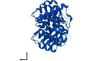 Protein Structure (PS) image for Deoxyhypusine Hydroxylase/monooxygenase (DOHH) (AA 1-302) protein (His tag) (ABIN7547225)