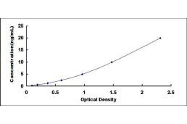 EEA1 ELISA Kit