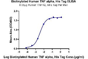 Immobilized Human TNF R2, mFc Tag at 0. (TNF alpha Protein (AA 77-233) (His-Avi Tag,Biotin))