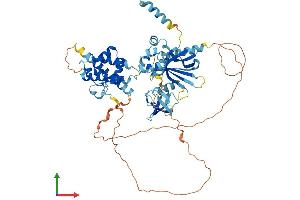Protein Structure (PS) image for EPS8-Like 3 (EPS8L3) (AA 1-593) protein (His tag) (ABIN7547370)