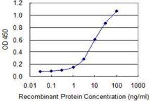 Detection limit for recombinant GST tagged UVRAG is 0. (UVRAG Antikörper  (AA 601-699))