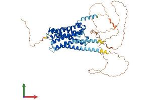 Protein Structure (PS) image for Cholinergic Receptor, Muscarinic 5 (CHRM5) (AA 1-532) protein (His tag) (ABIN7551805)
