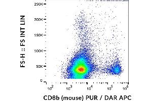 Flow cytometry analysis (surface staining) of murine splenocytes using anti-CD8b (H35-17. (CD8B Antikörper)