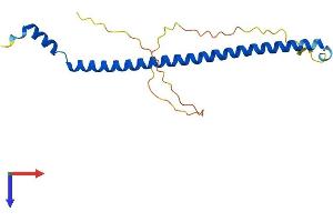 C19orf50 Protein (AA 1-177) (His tag)