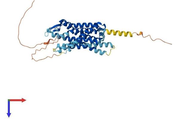 OPRK1 Protein (AA 1-380) (His tag)