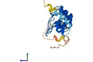 AlphaFold protein structure predicition of Human Recombinant ANKRD20A5P Protein, UniprotID A0PJZ0