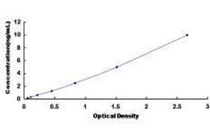 ELISA image for Translocation Associated Membrane Protein 1 (TRAM1) ELISA Kit (ABIN421428)