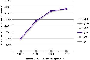 FLISA plate was coated with purified mouse IgG1, IgG2a, IgG2b, IgG3, IgM, and IgA. (Ratte anti-Maus IgG3 Antikörper (FITC))