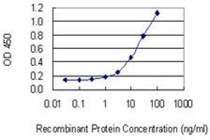 Detection limit for recombinant GST tagged TNR is 0. (Tenascin R Antikörper  (AA 411-519))