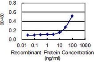 Detection limit for recombinant GST tagged SLC27A5 is 3 ng/ml as a capture antibody. (SLC27A5 Antikörper  (AA 90-175))