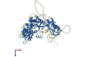 MOCOS Protein (AA 1-888) (His tag)
