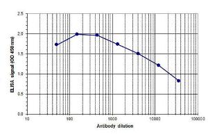ELISA of anti-Ash2 antibody ELISA results of Rabbit anti-Ash2 antibody. (ASH2L Antikörper  (C-Term))