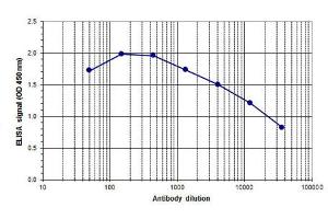 ELISA of anti-Ash2 antibody ELISA results of Rabbit anti-Ash2 antibody. (ASCL2 Antikörper  (C-Term))
