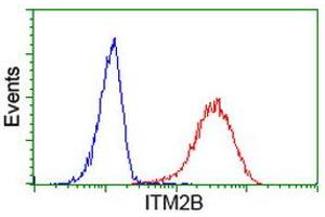 Flow cytometric Analysis of Hela cells, using anti-ITM2B antibody (ABIN2454457), (Red), compared to a nonspecific negative control antibody, (Blue). (ITM2B Antikörper)