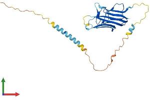 Protein Structure (PS) image for Tumor Necrosis Factor (Ligand) Superfamily, Member 12 (TNFSF12) (AA 1-249) protein (His tag) (ABIN7562440)