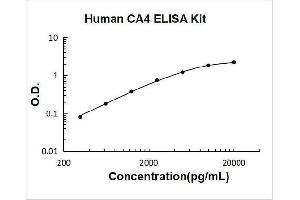 Carbonic Anhydrase IV (CA4) ELISA Kit