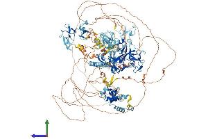 Protein Structure (PS) image for Wolf-Hirschhorn Syndrome Candidate 1-Like 1 (WHSC1L1) (AA 1-1437) protein (His tag) (ABIN7554796)