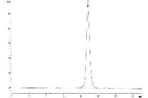 Size-exclusion chromatography-High Pressure Liquid Chromatography (SEC-HPLC) image for CD47 (CD47) (AA 19-140) protein (His tag) (ABIN7274237)