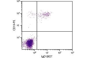 Human peripheral blood lymphocytes were stained with Mouse Anti-Human IgD-BIOT. (Maus anti-Human IgD Antikörper (Biotin))