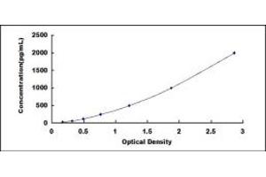 Typical standard curve (IDO2 ELISA Kit)