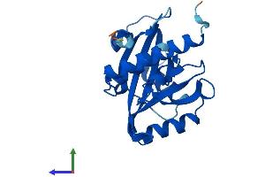 Protein Structure (PS) image for Nudix (Nucleoside Diphosphate Linked Moiety X)-Type Motif 16-Like 1 (NUDT16L1) (AA 1-211) protein (His tag) (ABIN7559926)