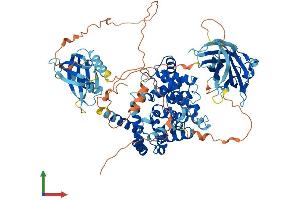 RABGAP1L Protein (AA 1-815) (His tag)
