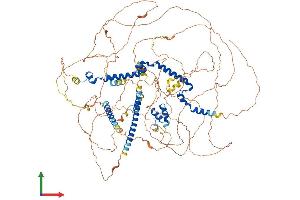Protein Structure (PS) image for MKL/myocardin-Like 2 (MKL2) (AA 1-1080) protein (His tag) (ABIN7563484)
