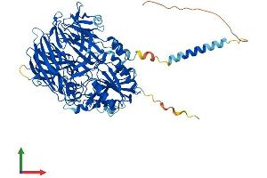 Protein Structure (PS) image for Dipeptidylpeptidase 10 (DPP10) (AA 1-796) protein (His tag) (ABIN7553720)