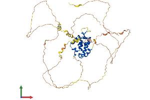 AlphaFold protein structure predicition of Human Recombinant FOXN4 Protein, UniprotID Q96NZ1