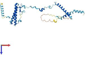 ISY1 Protein (AA 1-285) (His tag)