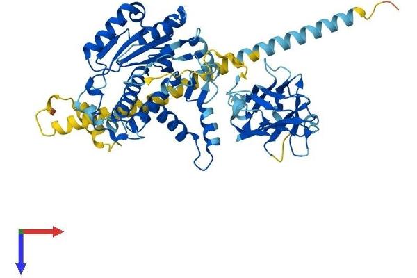 MGAT4A Protein (AA 1-535) (His tag)