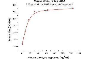 Immobilized Mouse OX40 Ligand, His Tag (ABIN5674649,ABIN6253698) at 0. (TNFRSF4 Protein (AA 20-211) (Fc Tag))