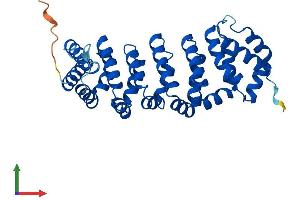 Protein Structure (PS) image for Calcium Binding Protein 39-Like (CAB39L) (AA 1-337) protein (His tag) (ABIN7561252)