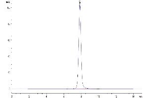 Size-exclusion chromatography-High Pressure Liquid Chromatography (SEC-HPLC) image for EPH Receptor A3 (EPHA3) (AA 21-541) protein (His tag) (ABIN7274557)