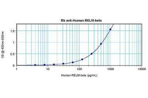 Image no. 1 for anti-Resistin Like beta (RETNLB) antibody (ABIN465490) (RETNLB Antikörper)