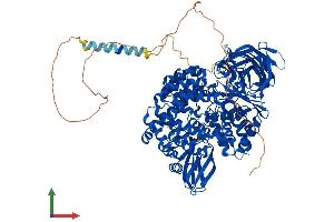 Protein Structure (PS) image for Leucyl/cystinyl Aminopeptidase (LNPEP) (AA 1-1025) protein (His tag) (ABIN7554373)